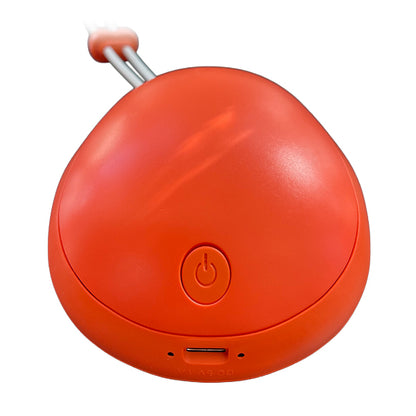 Calentador De Mano Capybara