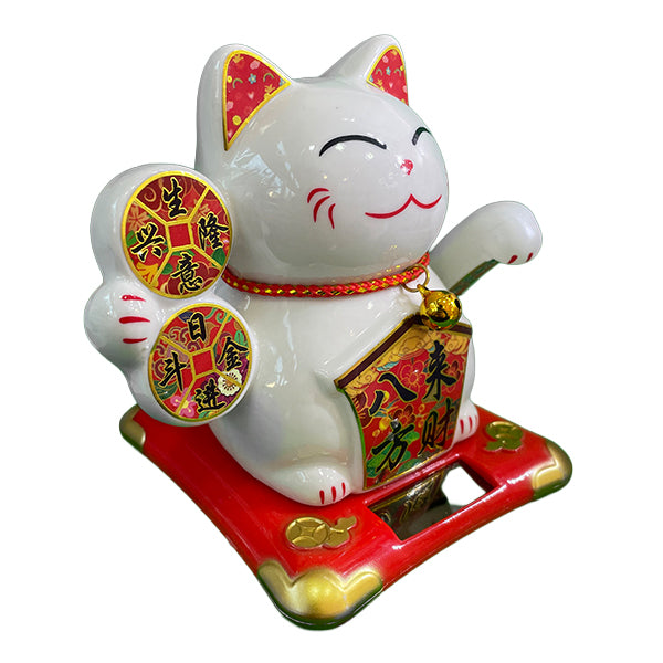 Gato De La Fortuna Chico